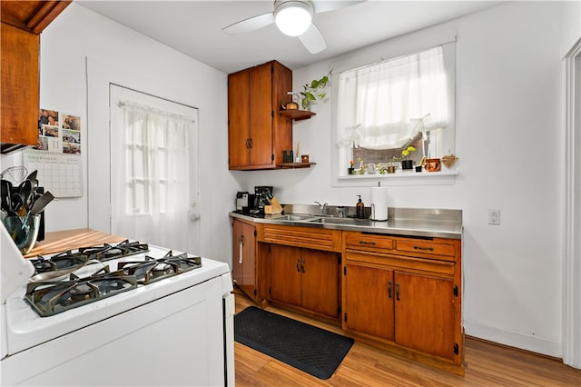 kitchen featuring ceiling fan, light wood-type flooring, sink, and gas range gas stove