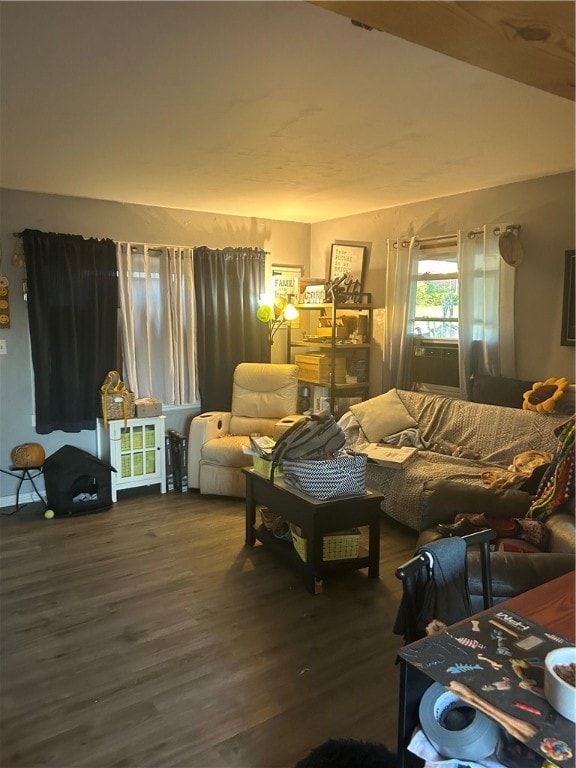 living room with dark wood-type flooring