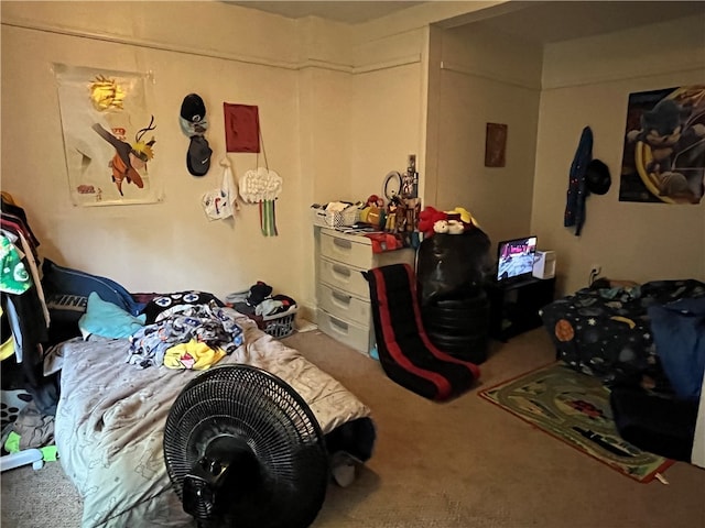 view of carpeted bedroom