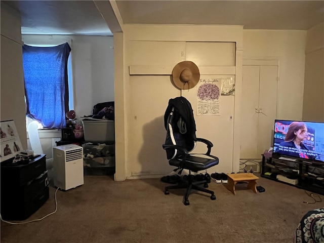 bedroom with carpet flooring