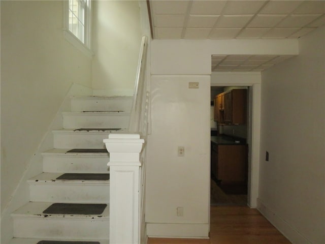 stairs with a paneled ceiling and hardwood / wood-style flooring