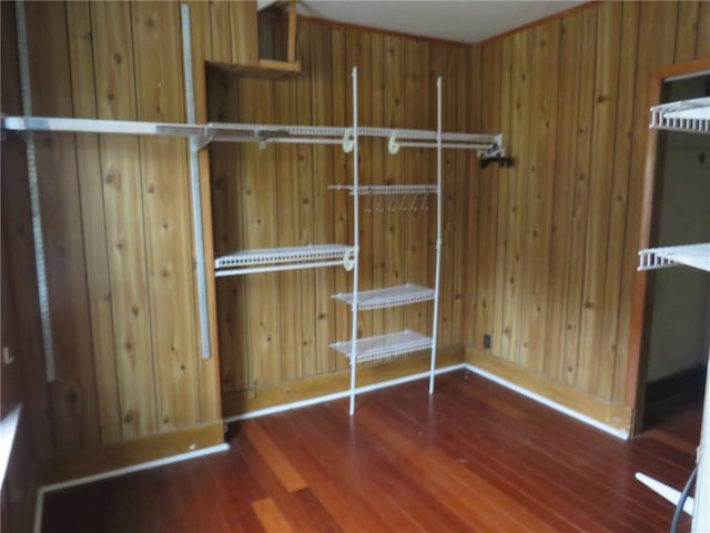 spacious closet featuring dark hardwood / wood-style flooring