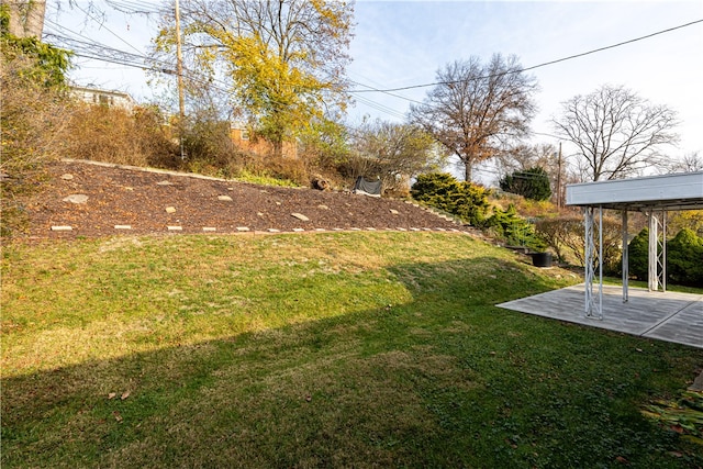 view of yard featuring a patio area