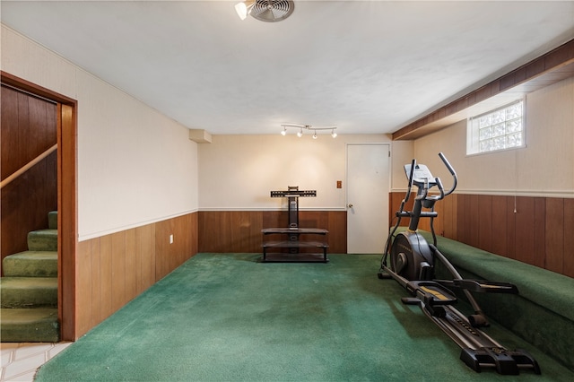 workout area with carpet, rail lighting, and wooden walls