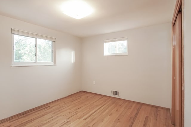 empty room featuring light wood-type flooring and a wealth of natural light