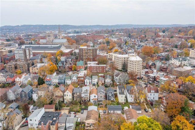 bird's eye view