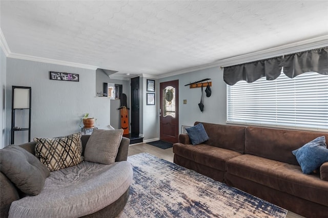 living room with a textured ceiling, crown molding, and hardwood / wood-style flooring