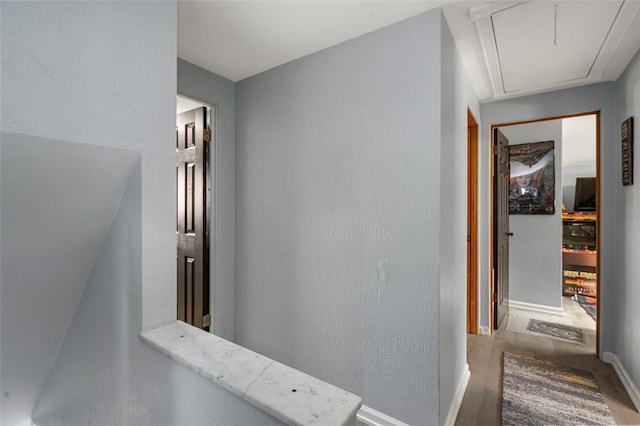 hall featuring hardwood / wood-style flooring