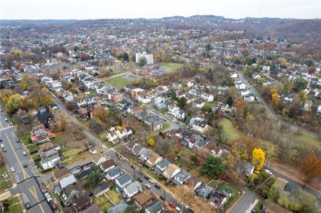 bird's eye view