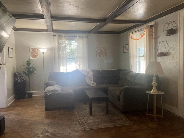 living room with dark hardwood / wood-style floors, a healthy amount of sunlight, and coffered ceiling