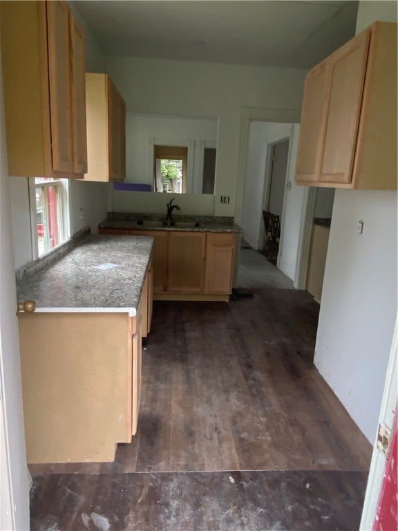11947 Pennsylvania Ave, Vernon Twp, PA 16335 - kitchen featuring dark hardwood / wood-style flooring, sink, and light brown cabinetry