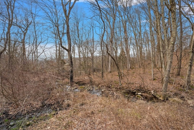 view of local wilderness