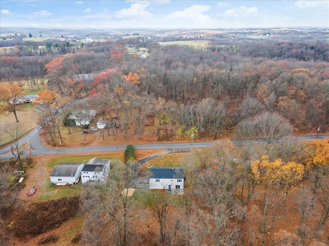 bird's eye view