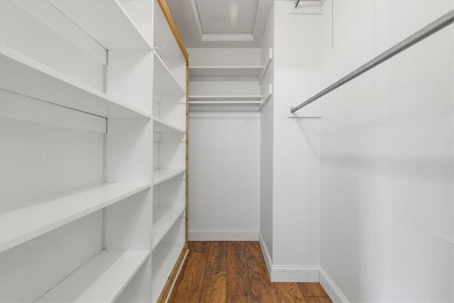 walk in closet featuring dark hardwood / wood-style flooring