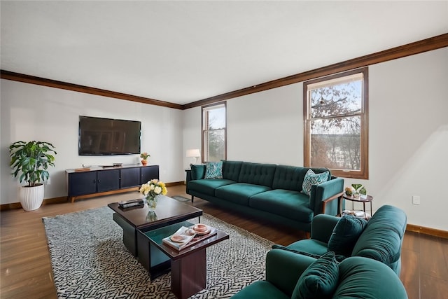 living room featuring dark hardwood / wood-style floors and ornamental molding