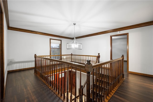 hallway featuring a notable chandelier, dark hardwood / wood-style flooring, and ornamental molding