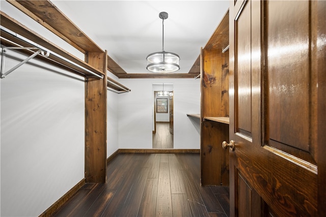 spacious closet featuring dark wood-type flooring