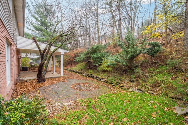 view of yard with a patio