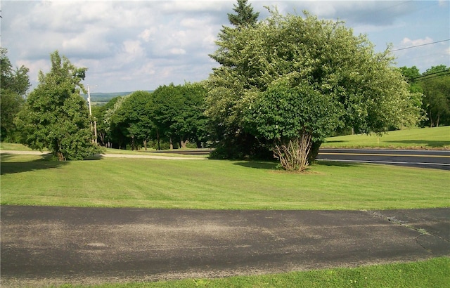 view of property's community with a lawn