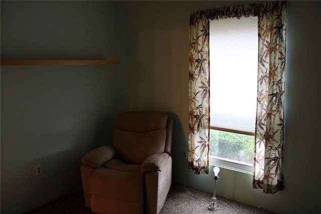 sitting room with carpet flooring