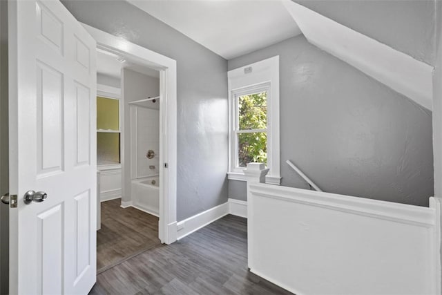 hallway featuring dark wood-type flooring