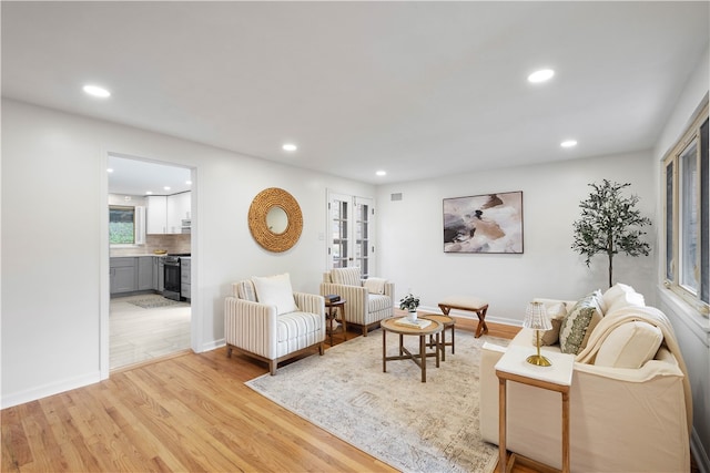 living room with light wood-type flooring