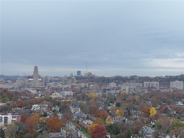 property's view of city