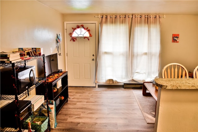 entryway featuring hardwood / wood-style floors