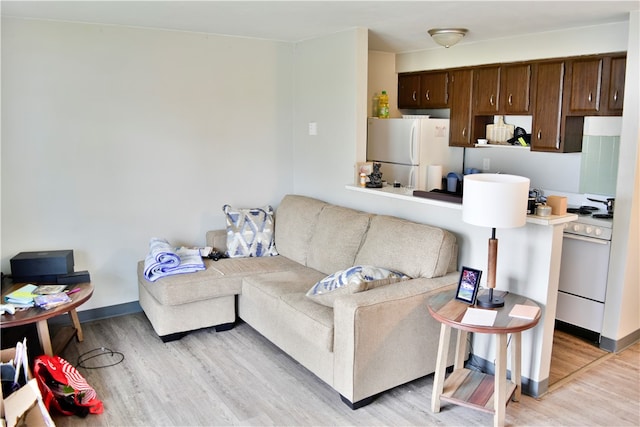 living room with light wood-type flooring