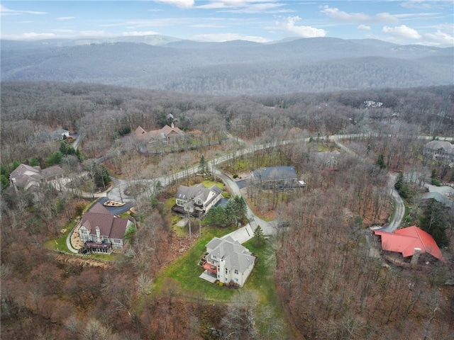 birds eye view of property with a mountain view