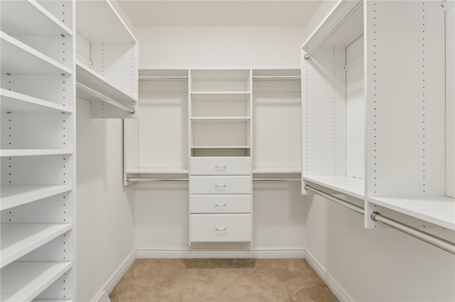 spacious closet featuring light colored carpet