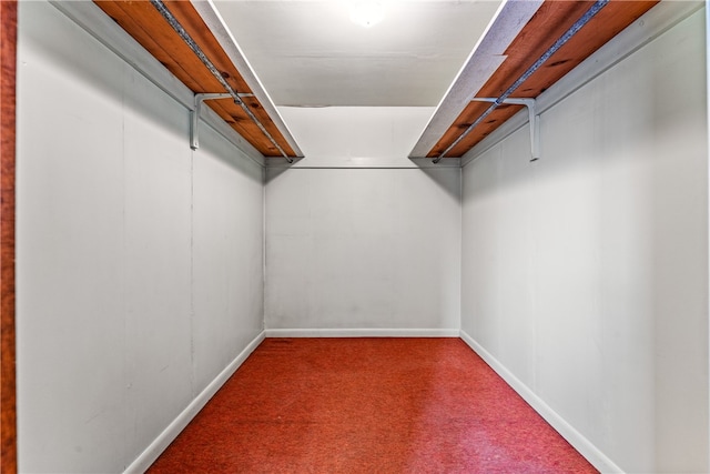 walk in closet with carpet