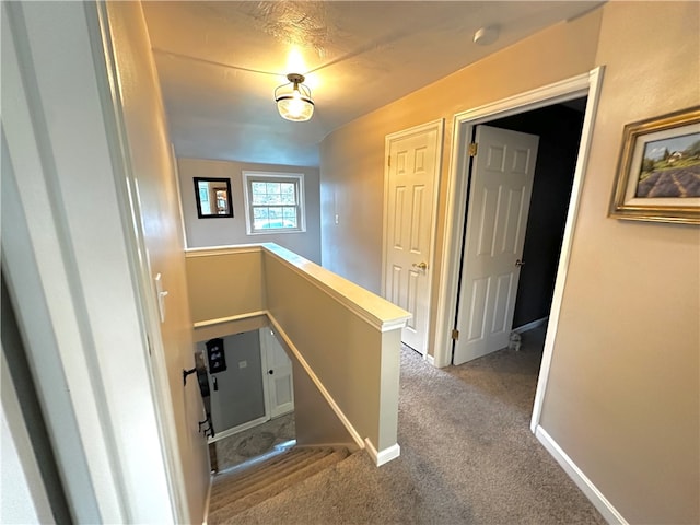 corridor featuring lofted ceiling and carpet floors