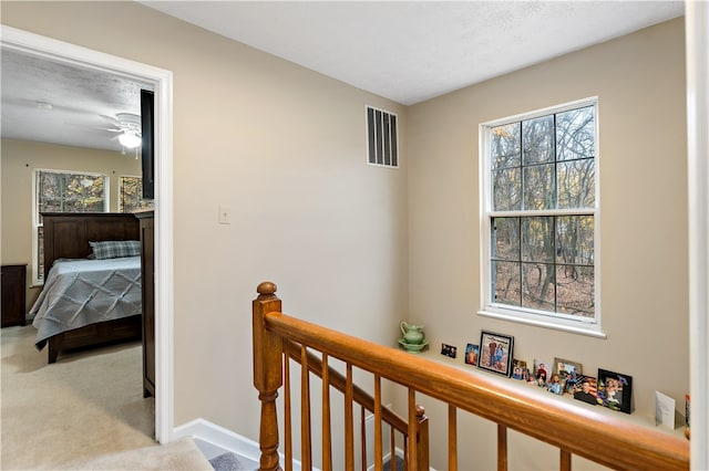 hallway featuring a textured ceiling, light carpet, and a wealth of natural light