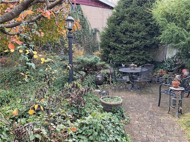 view of yard with a patio area