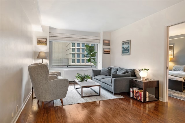 living room featuring hardwood / wood-style floors