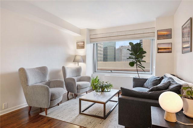 living room with hardwood / wood-style flooring