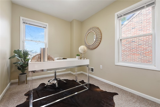 carpeted home office featuring a wealth of natural light