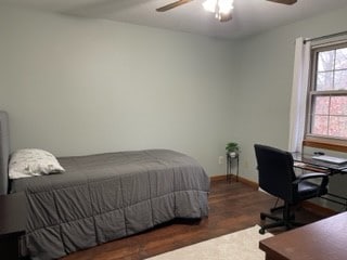 bedroom featuring ceiling fan and dark wood-type flooring