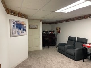 living room with carpet and a drop ceiling