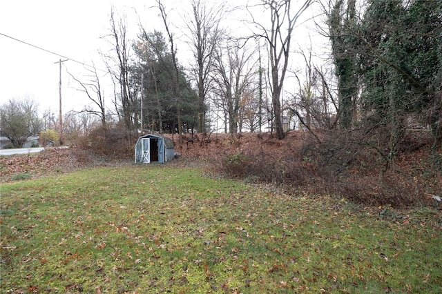 view of yard featuring a storage unit