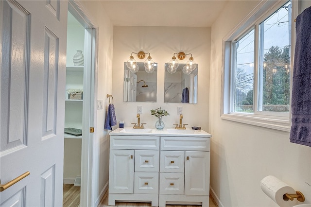 bathroom with wood-type flooring and vanity