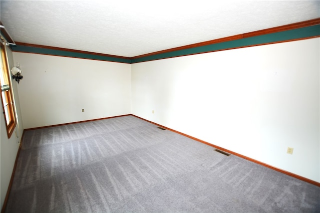 spare room with carpet flooring, crown molding, and a textured ceiling