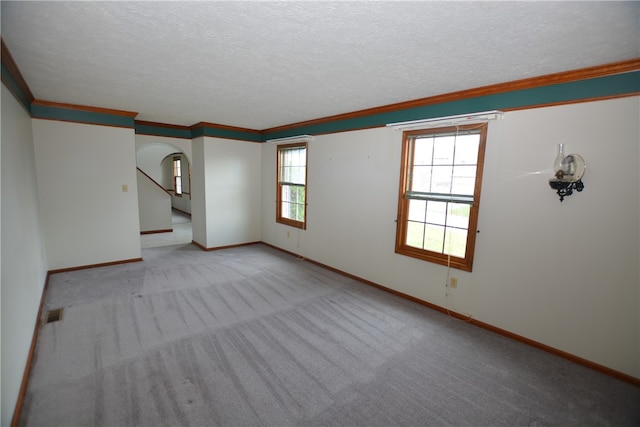 spare room with plenty of natural light, light colored carpet, and a textured ceiling