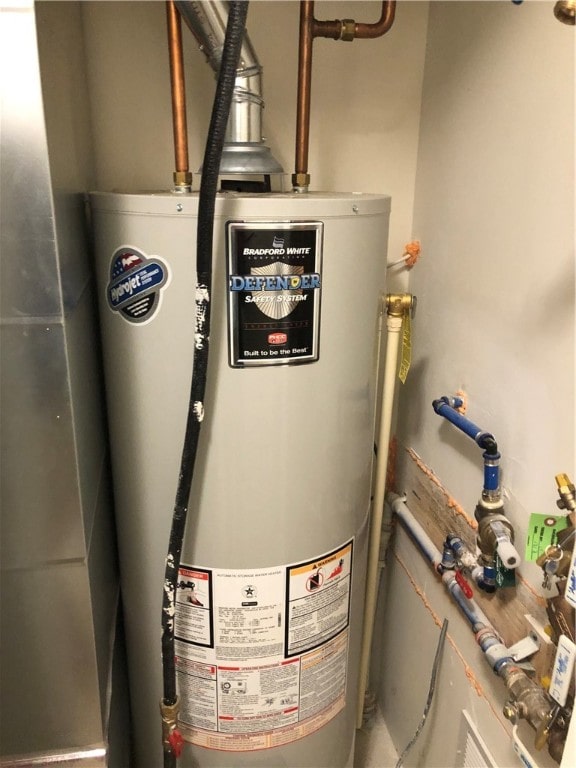 utility room with gas water heater