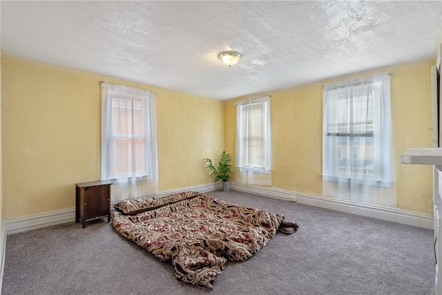 living area featuring carpet flooring and a textured ceiling