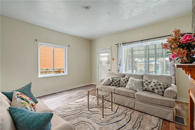 living room featuring light wood-type flooring