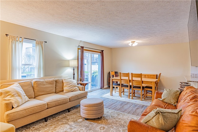 living room featuring hardwood / wood-style floors, a textured ceiling, and a healthy amount of sunlight