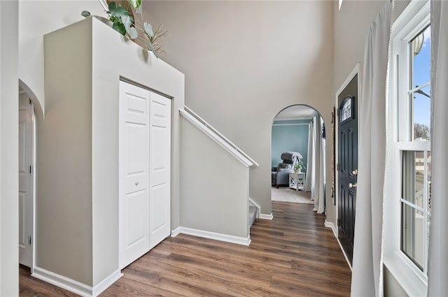 foyer with dark wood-type flooring and a high ceiling