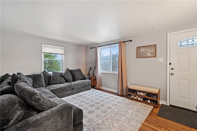 living room featuring wood-type flooring